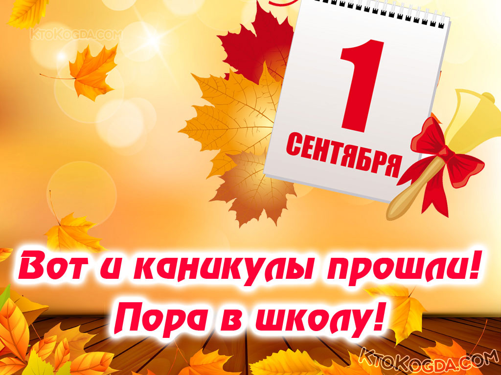 Вот и каникулы прошли! Пора в школу!