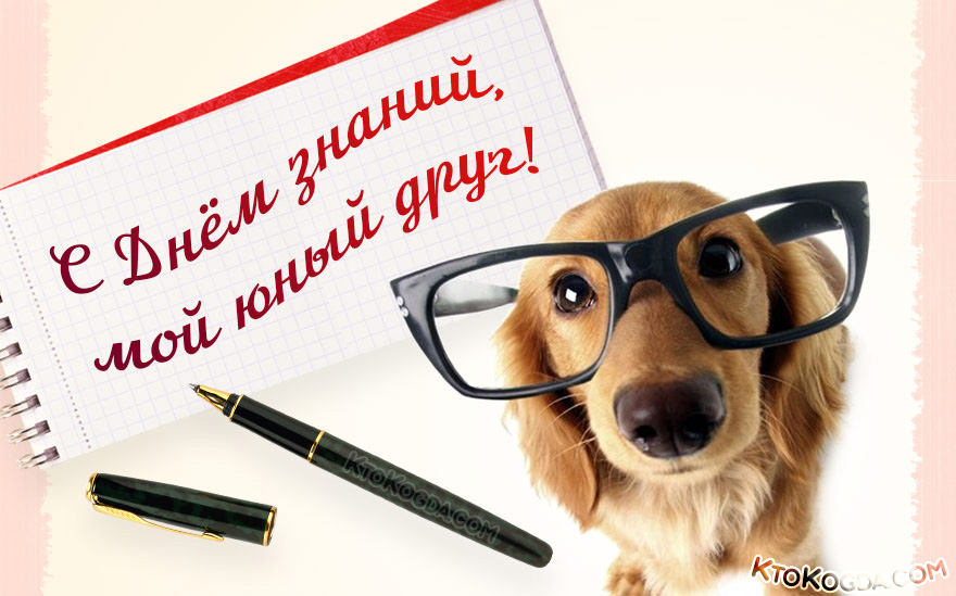 С днем знаний, мой юный друг