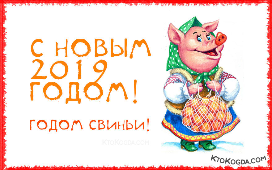 С новым годом 2019 свиньи