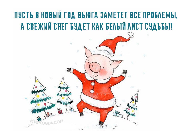 Прикольная свинка, Пусть свежий снег будет как белый лист судьбы