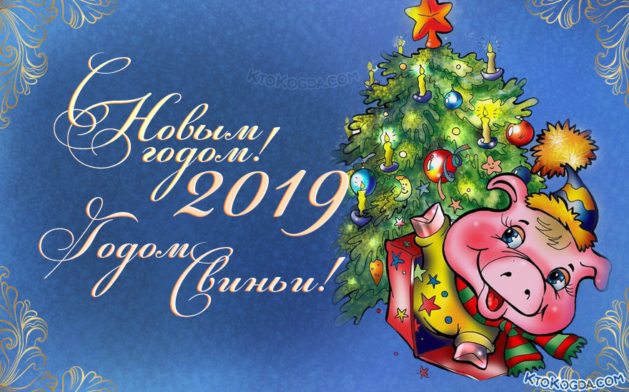 Хрюшка под елкой с игрушками