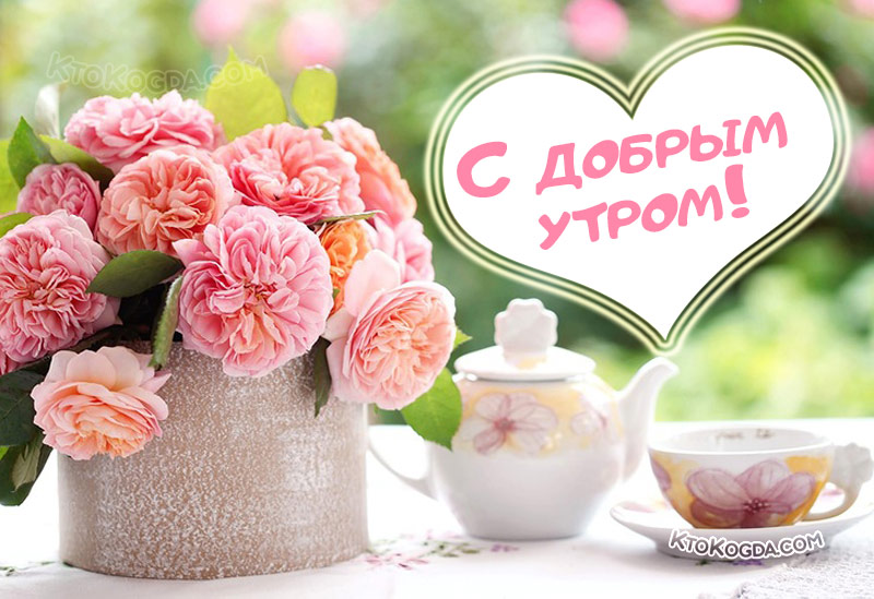 Утреннее чаепитие