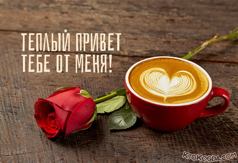 Теплый привет тебе от меня!