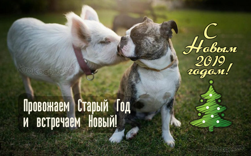 Провожаем Старый Год и встречаем Новый