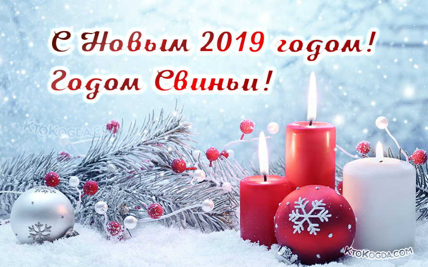 2019 - год свиньи