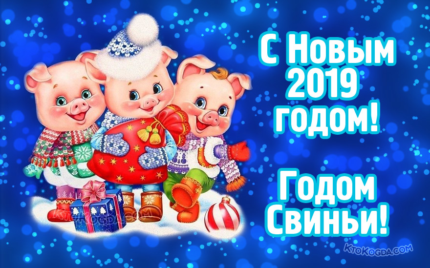 Год свиньи 2019