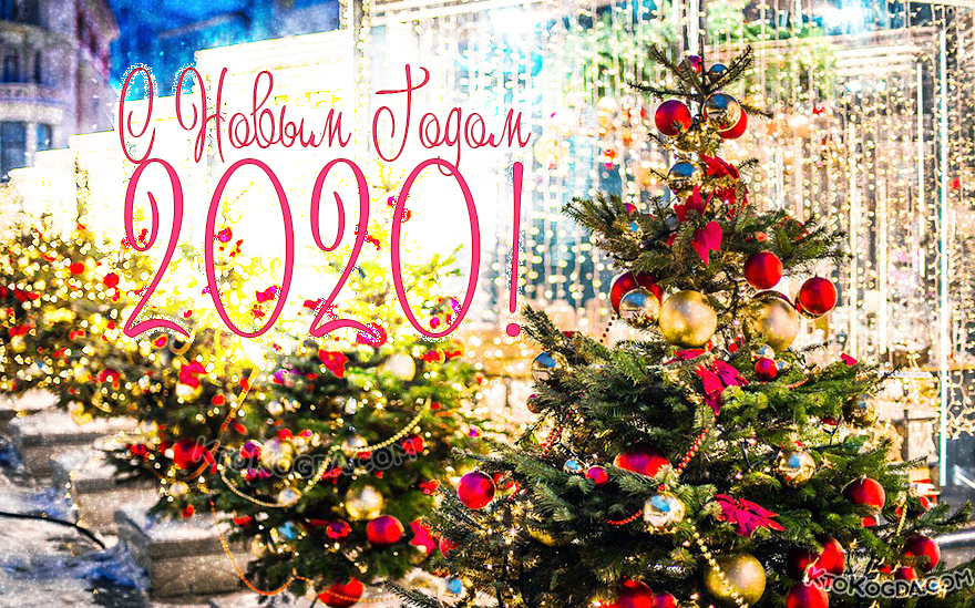 Наряженные елки