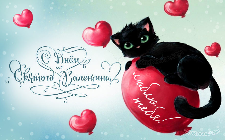 Влюблённый кот