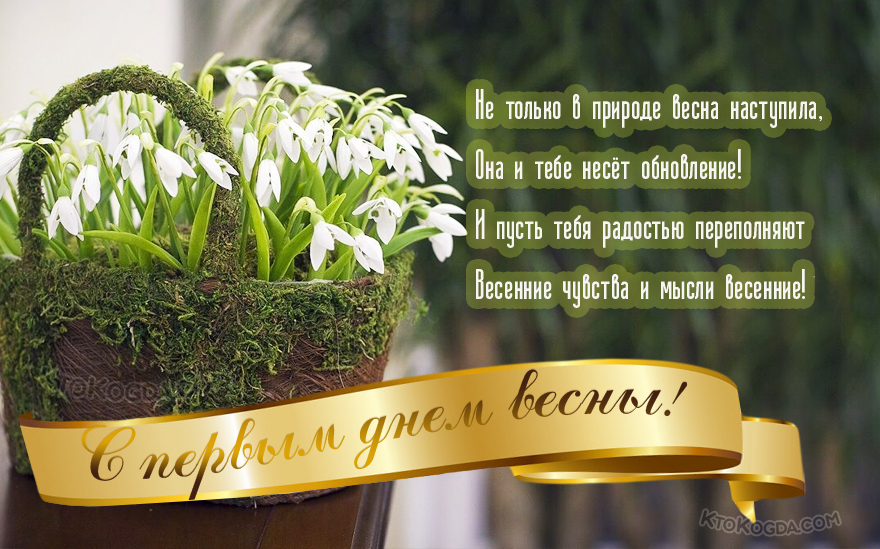 И пусть тебя радостью переполняют Весенние чувства и мысли весенние