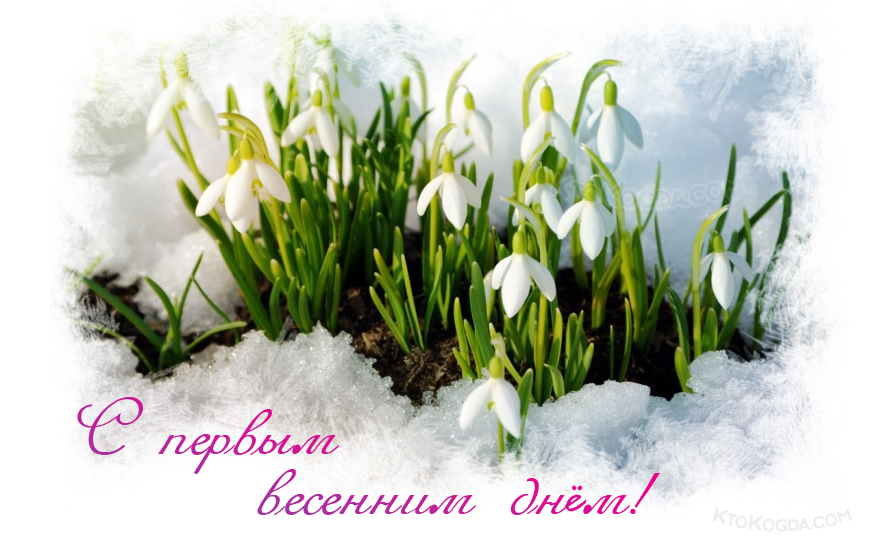 Первые весенние цветы