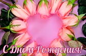 Открытка с Днем Рождения, цветы, розовые розы