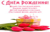 Открытка с Днем Рождения, цветы, тюльпаны