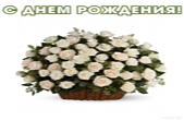 Открытка с Днем Рождения, цветы, корзина с белыми розами