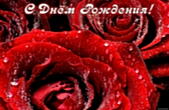Открытка с Днем Рождения женщине, цветы, красные розы