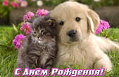 Открытка с Днем Рождения, животные, цветы, щенок и котенок