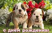 Открытка с Днем Рождения, животные, щенки и цветы