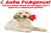 Открытка с Днем Рождения, щенок и роза