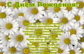 Открытка с Днем Рождения с стихотворением, цветы, ромашки