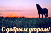 Открытка с добрым утром, животные, лошадь и рассвет