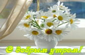 Открытка с добрым утром, цветы, ромашки