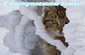 Открытка с наступлением зимы, животные, кот и снег