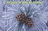 Открытка с первым днем зимы, шишка и иней