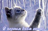 Открытка с первым днем зимы, животные, котенок и сосульки
