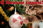 Открытка с Новым годом, животные, котенок и новогодняя елочная игрушка