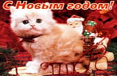 Открытка с Новым годом, животные, котенок
