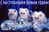 Открытка с наступающим Новым годом, животные, котята и елочные игрушки
