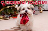 Открытка с Новым годом, животные, собака у елки с подарком