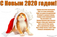 Открытка с Новым 2020 годом с поздравлением, животные, рыжий котенок в шапке Деда Мороза/Санта Клауса