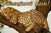 Открытка спокойной ночи, животные, спящий гепард