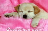 Открытка спокойной ночи, животные, щенок