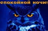Открытка спокойной ночи, животные, сова