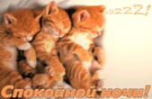 Открытка спокойной ночи, спящие котята