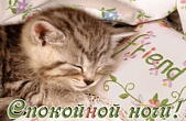 Открытка спокойной ночи, котенок