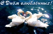 Открытка с Днем влюбленных, лебеди