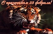 Открытка с праздником 23 февраля, тигр