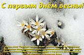 Открытка с первым днем весны, подснежники, стихотворение