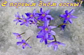 Открытка с первым днем весны, подснежники