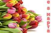 Открытка с 8 марта, тюльпаны