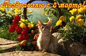 Открытка поздравляю с 8 марта, тюльпаны и котенок