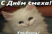 Открытка с Днем смеха, улыбнись, улыбающийся котенок