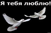 Открытка я тебя люблю, голуби