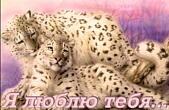 Открытка я люблю тебя, животные