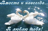 Открытка я люблю тебя, вместе и навсегда, лебеди