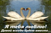 Открытка я тебя люблю, давай всегда будем вместе, лебеди