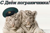 Открытка с днем пограничника, тигры и фуражка