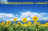 Открытка с наступлением лета, подсолнухи
